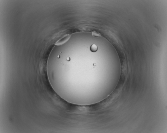 X0000113990233200910161654