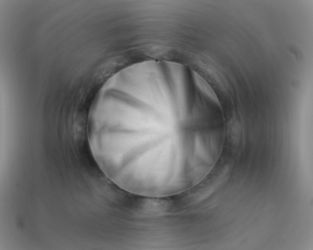 X0000113990234200910161654