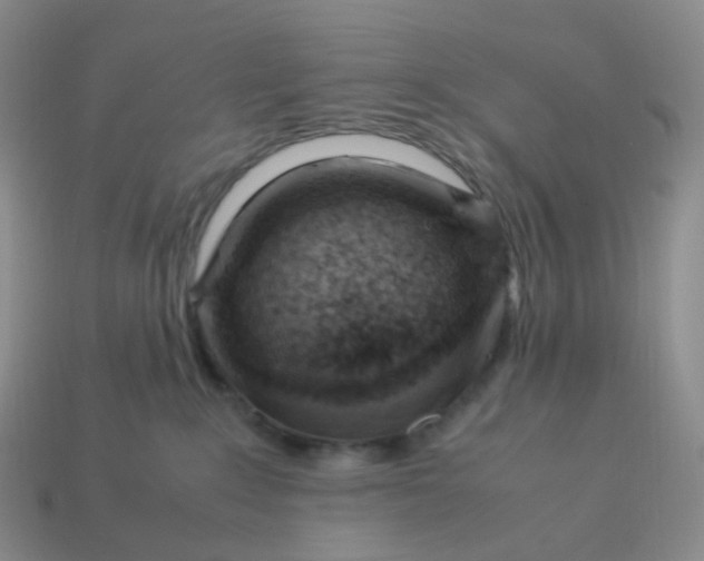 X0000113990235200910161654