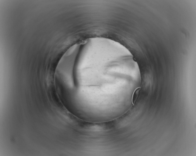 X0000113990236200910161654