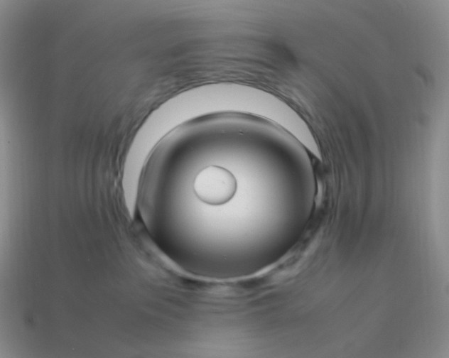 X0000113990237200910161654