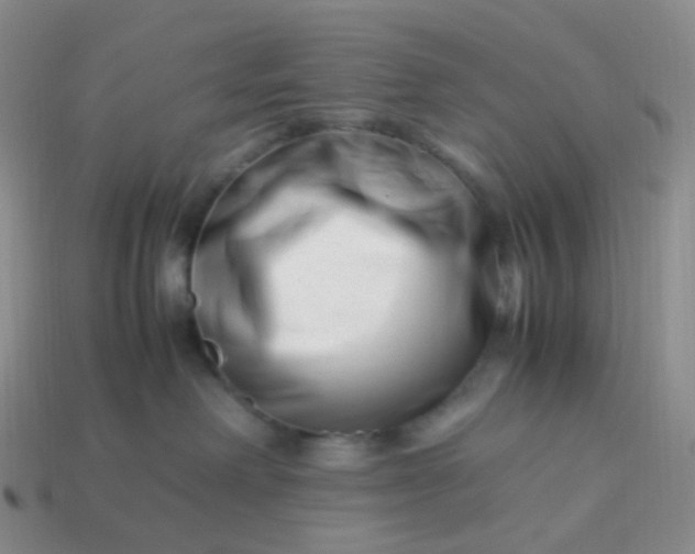 X0000113990238200910161654