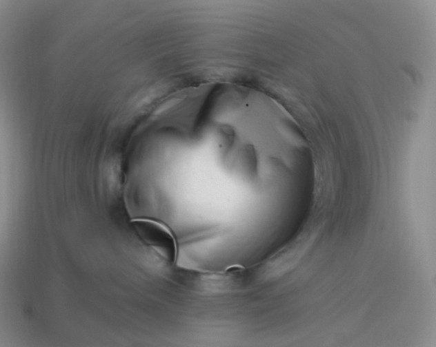 X0000113990240200910161654