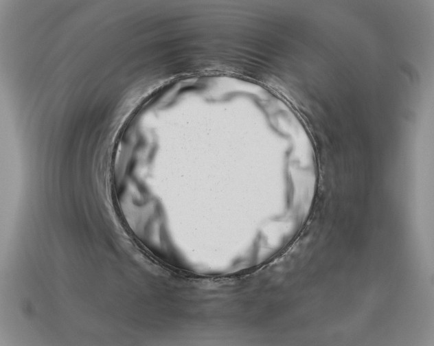 X0000113990241200910161653