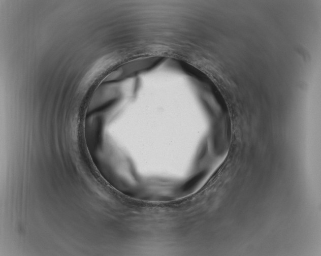 X0000113990242200910161653