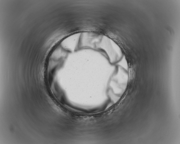 X0000113990243200910161653