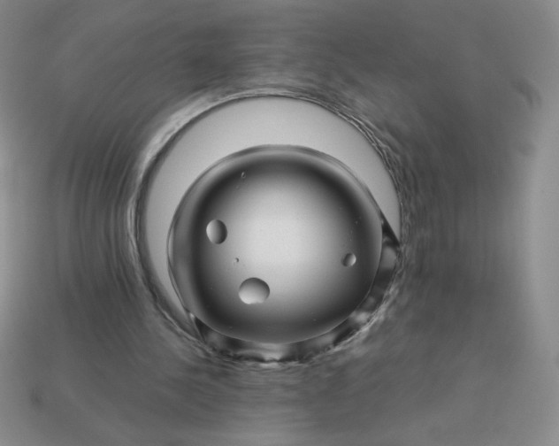 X0000113990244200910161653