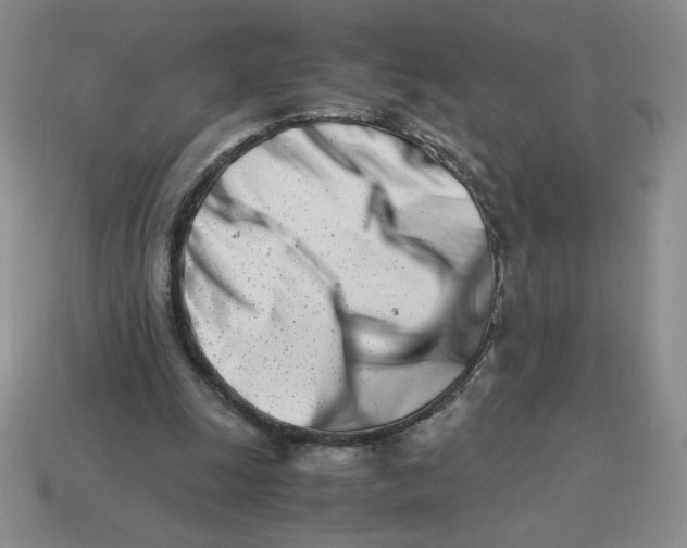 X0000113990247200910161653