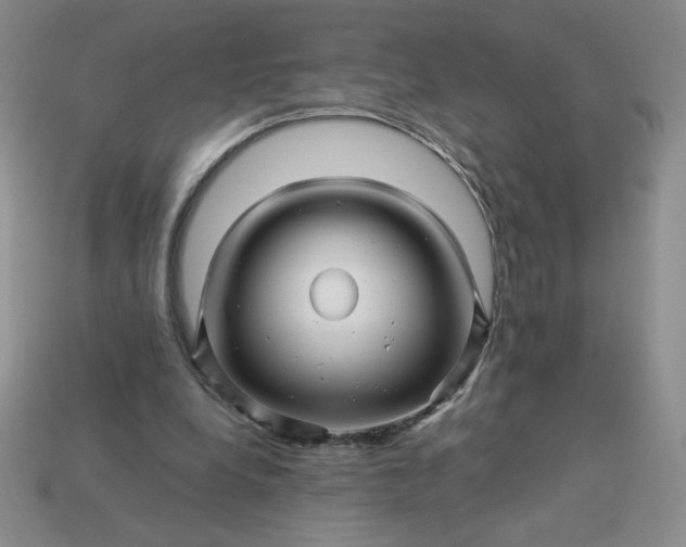 X0000113990248200910161653