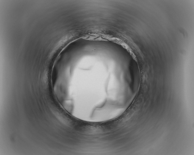 X0000113990250200910161653