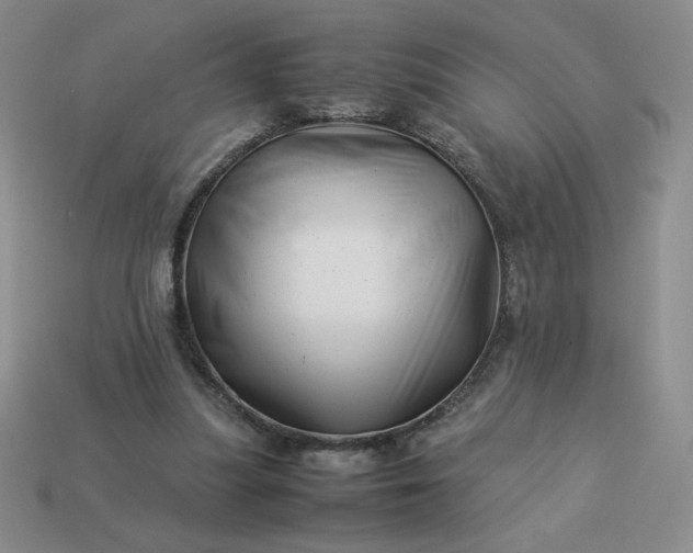 X0000113990251200910161653