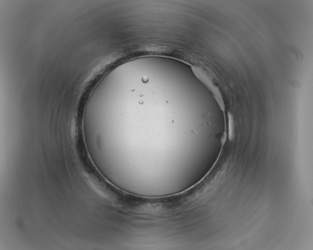 X0000113990252200910161653