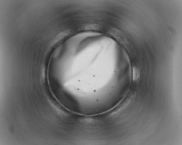 X0000113990253200910161653