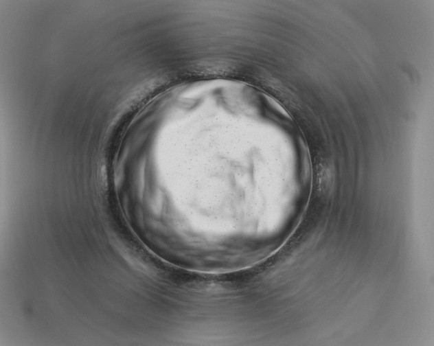 X0000113990254200910161653