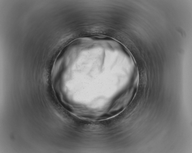 X0000113990255200910161653