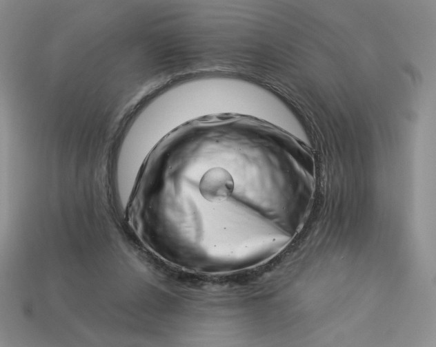 X0000113990256200910161653