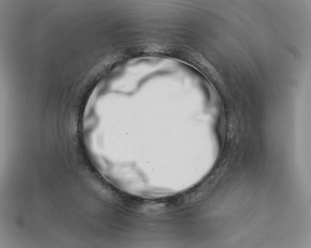 X0000113990257200910161653