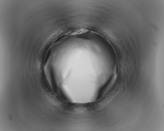 X0000113990258200910161653