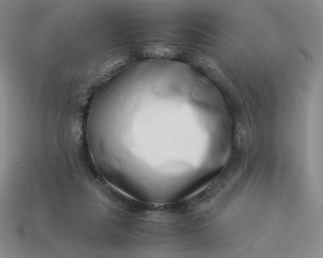 X0000113990259200910161653