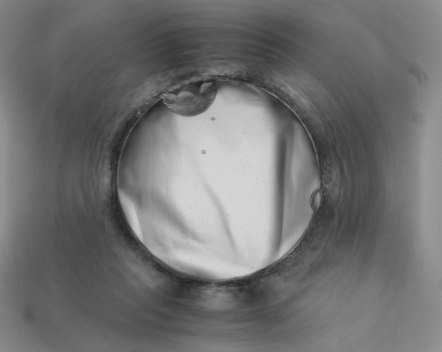 X0000113990261200910161653