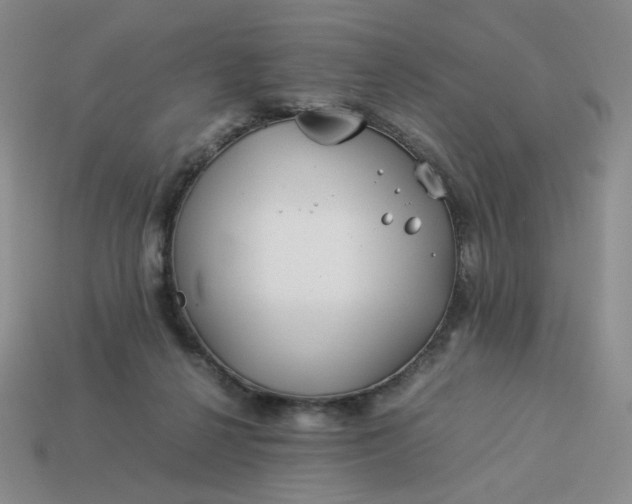 X0000113990264200910161653