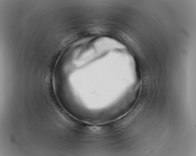 X0000113990265200910161653