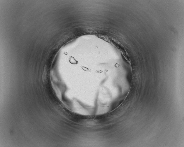 X0000113990266200910161653