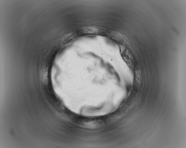 X0000113990267200910161653