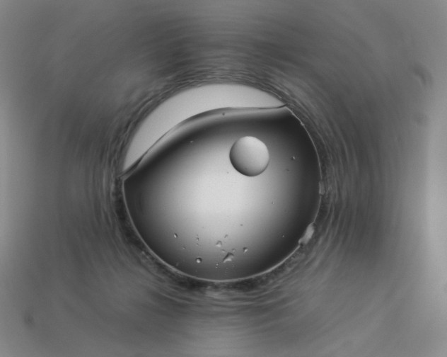 X0000113990268200910161653