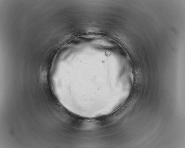 X0000113990269200910161653