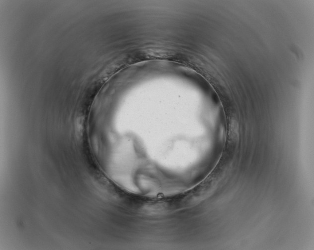 X0000113990271200910161653