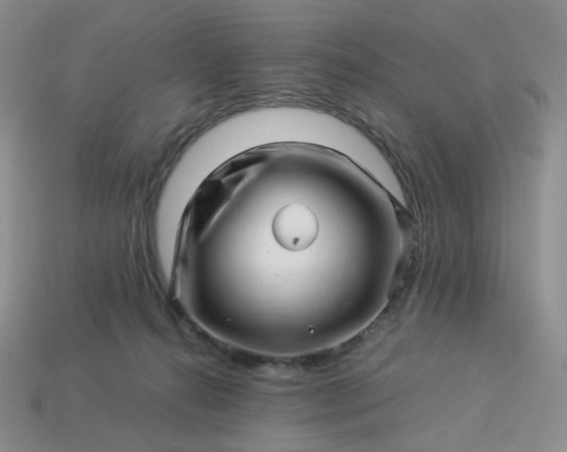 X0000113990272200910161653