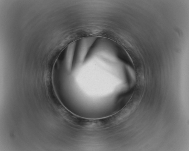 X0000113990274200910161653