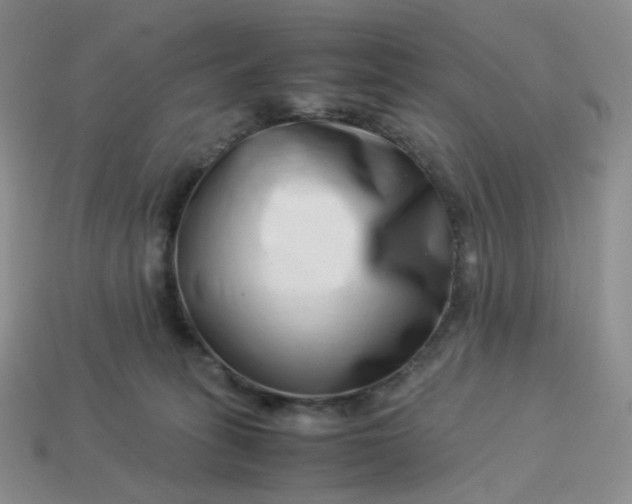 X0000113990275200910161653