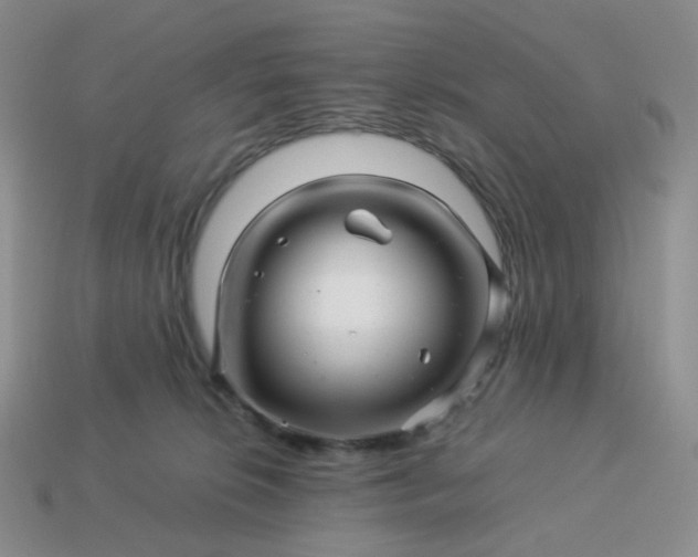 X0000113990276200910161653