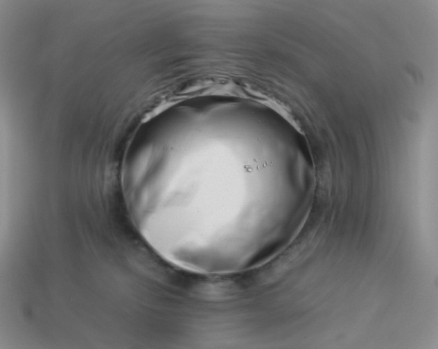 X0000113990278200910161653