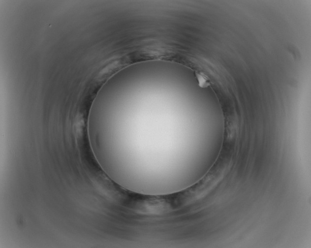 X0000113990279200910161653