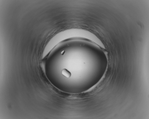 X0000113990280200910161653