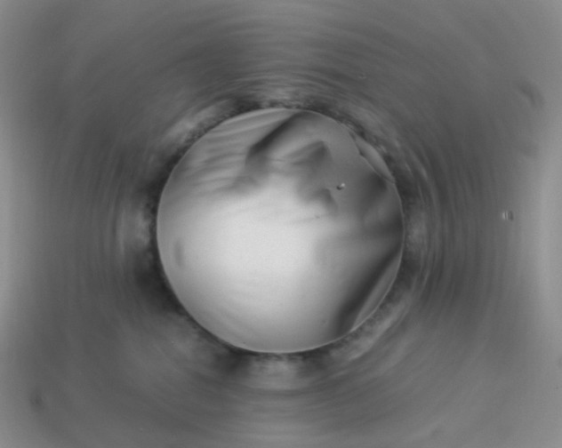 X0000113990282200910161653