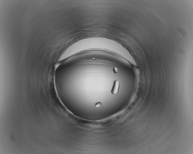 X0000113990284200910161653