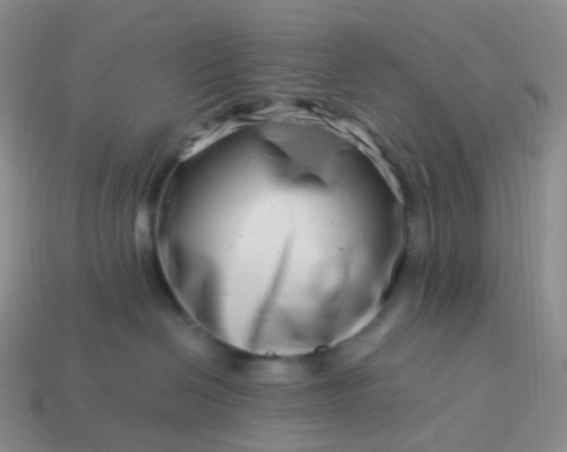 X0000113990286200910161654