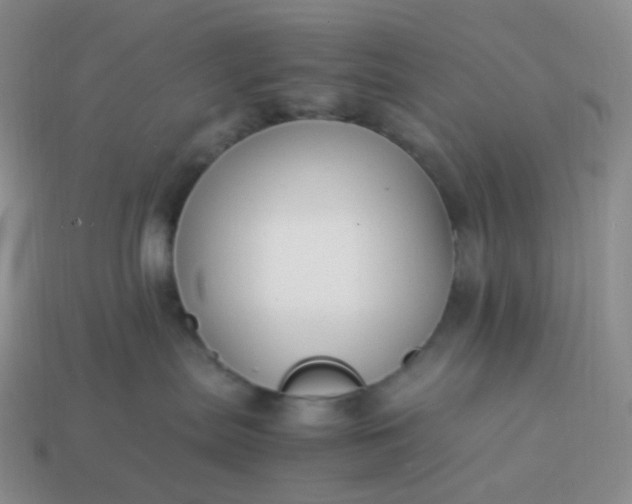 X0000113990287200910161654