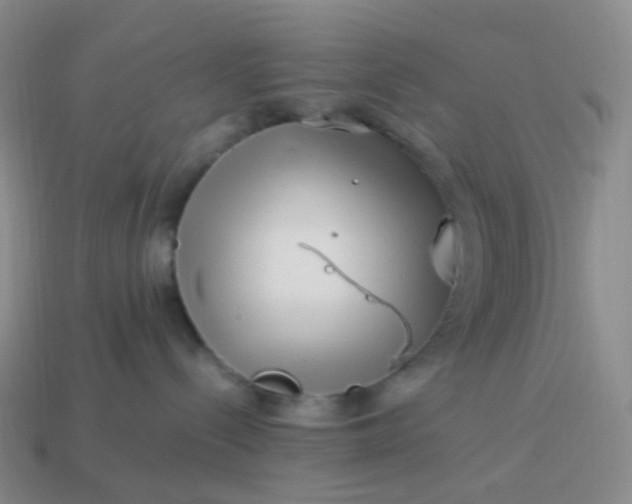 X0000113990288200910161654