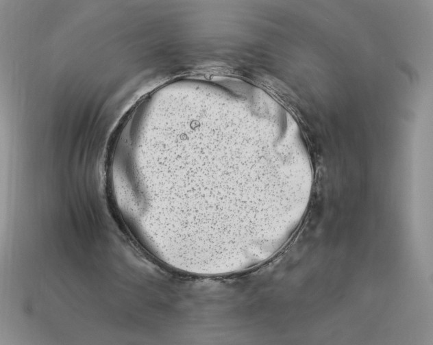 X0000113990290200910161653