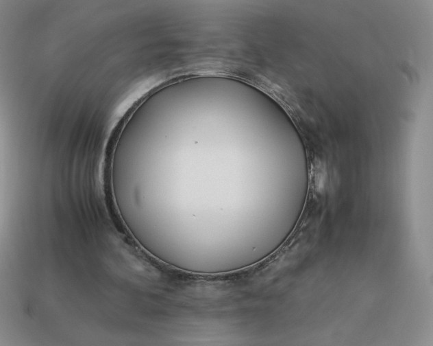 X0000113990292200910161653