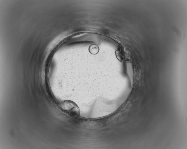 X0000113990294200910161653