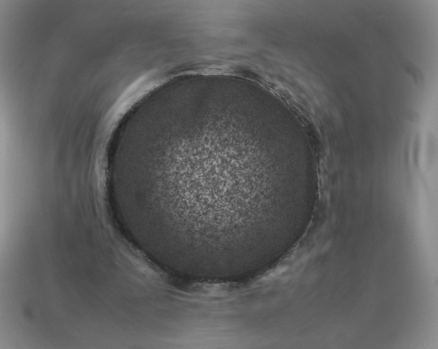 X0000113990295200910161653