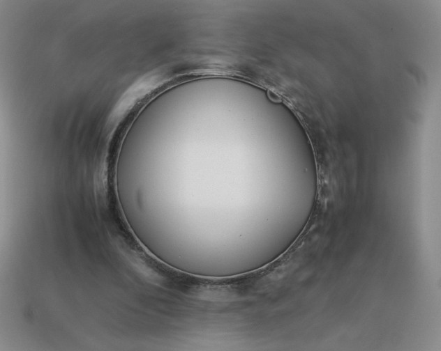 X0000113990296200910161653