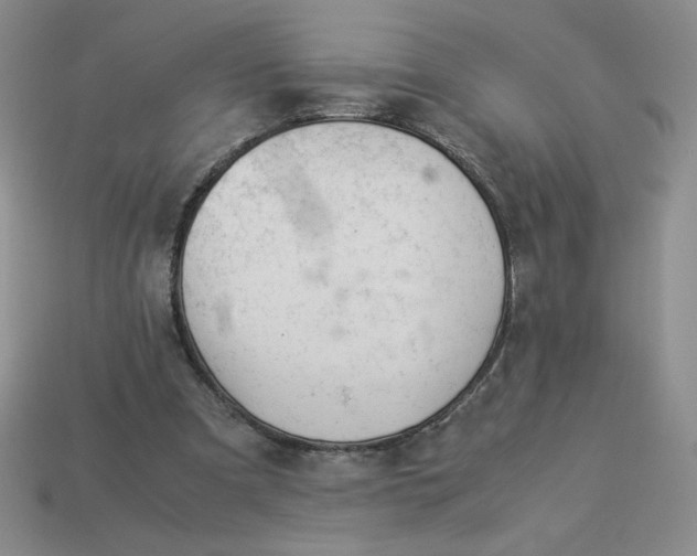 X0000113990297200910161653