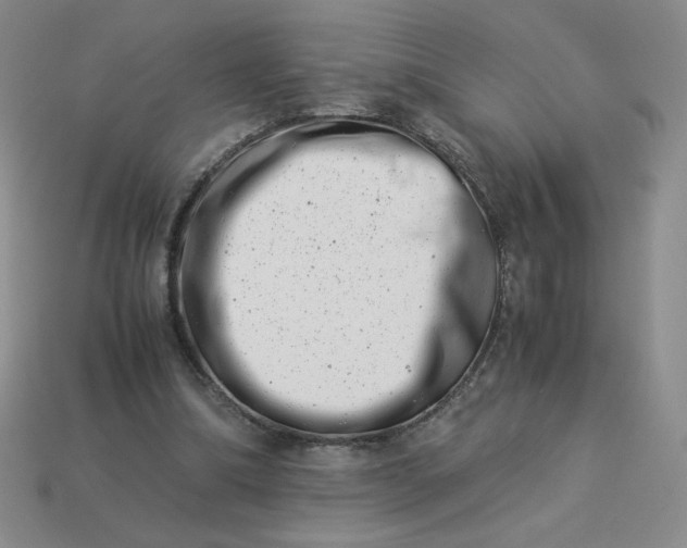 X0000113990298200910161653